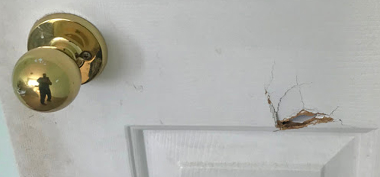 interior door hole repair Rancho San Diego